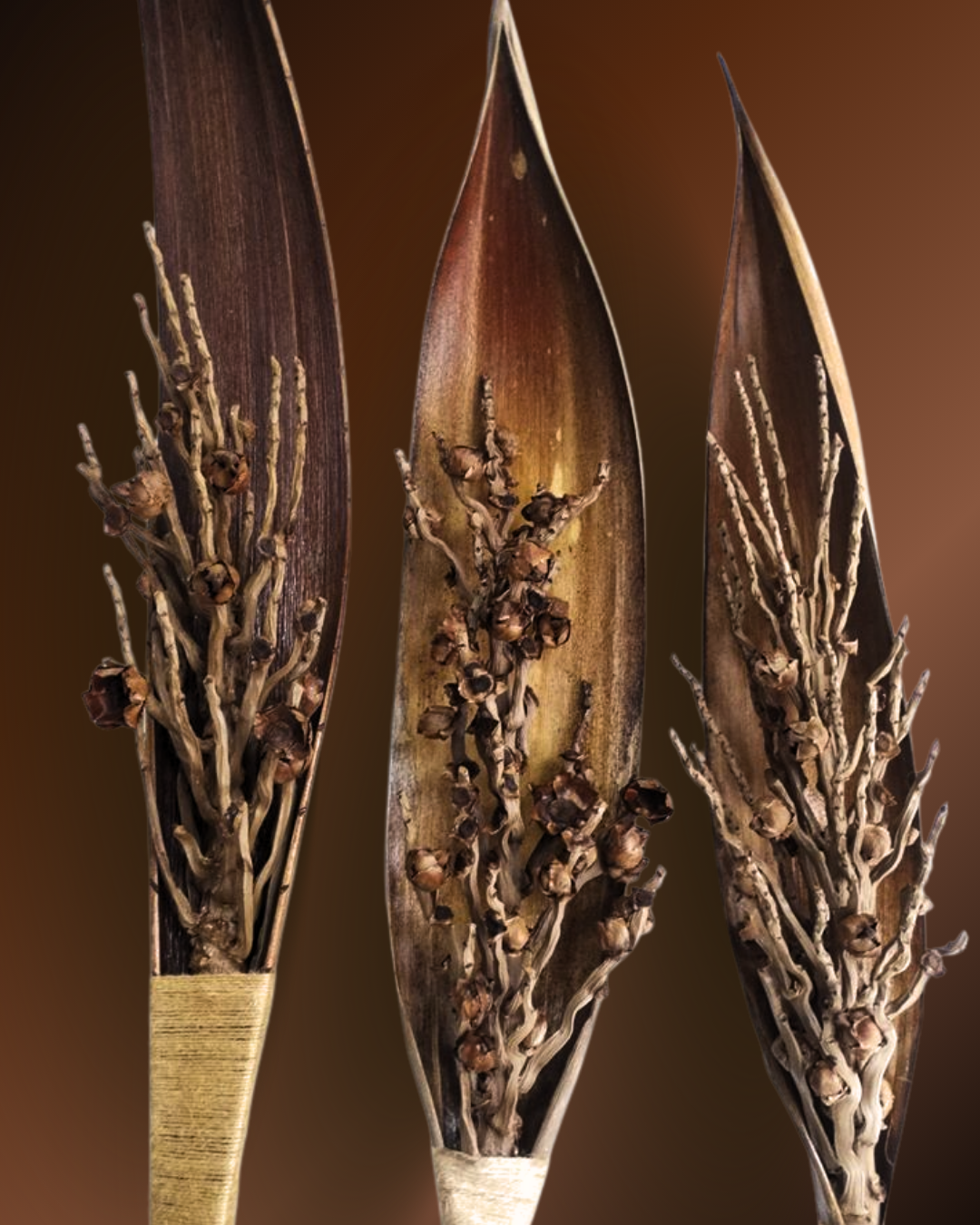 33_8a107fae-264e-405c-a779-7f3f04c7987d.png