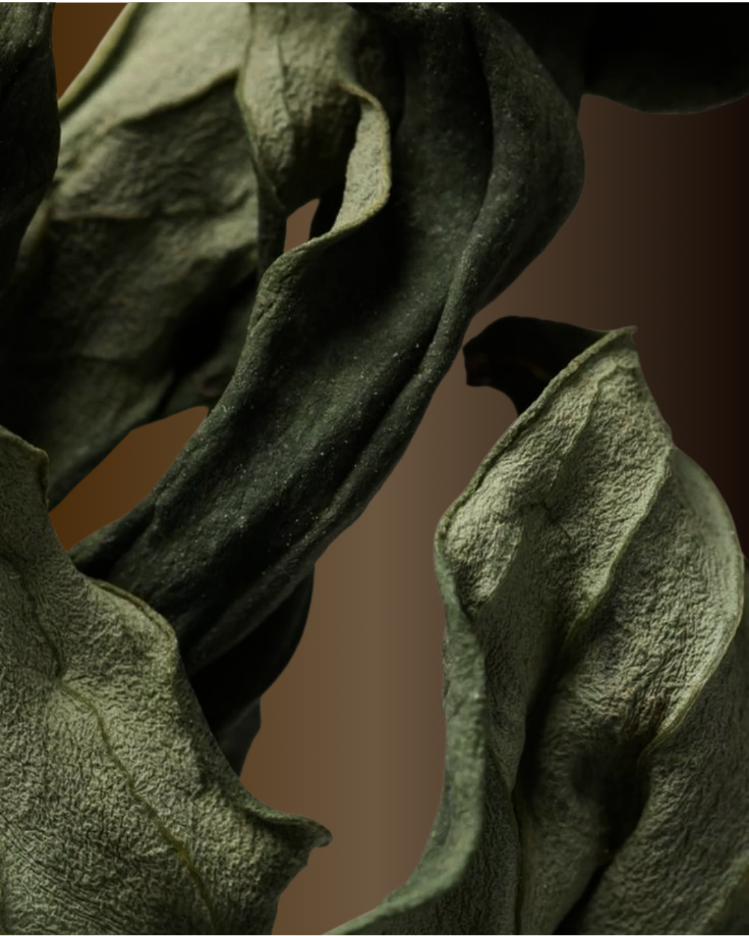 60_b5cef482-3d22-4bc0-a287-f9376d09536b.png