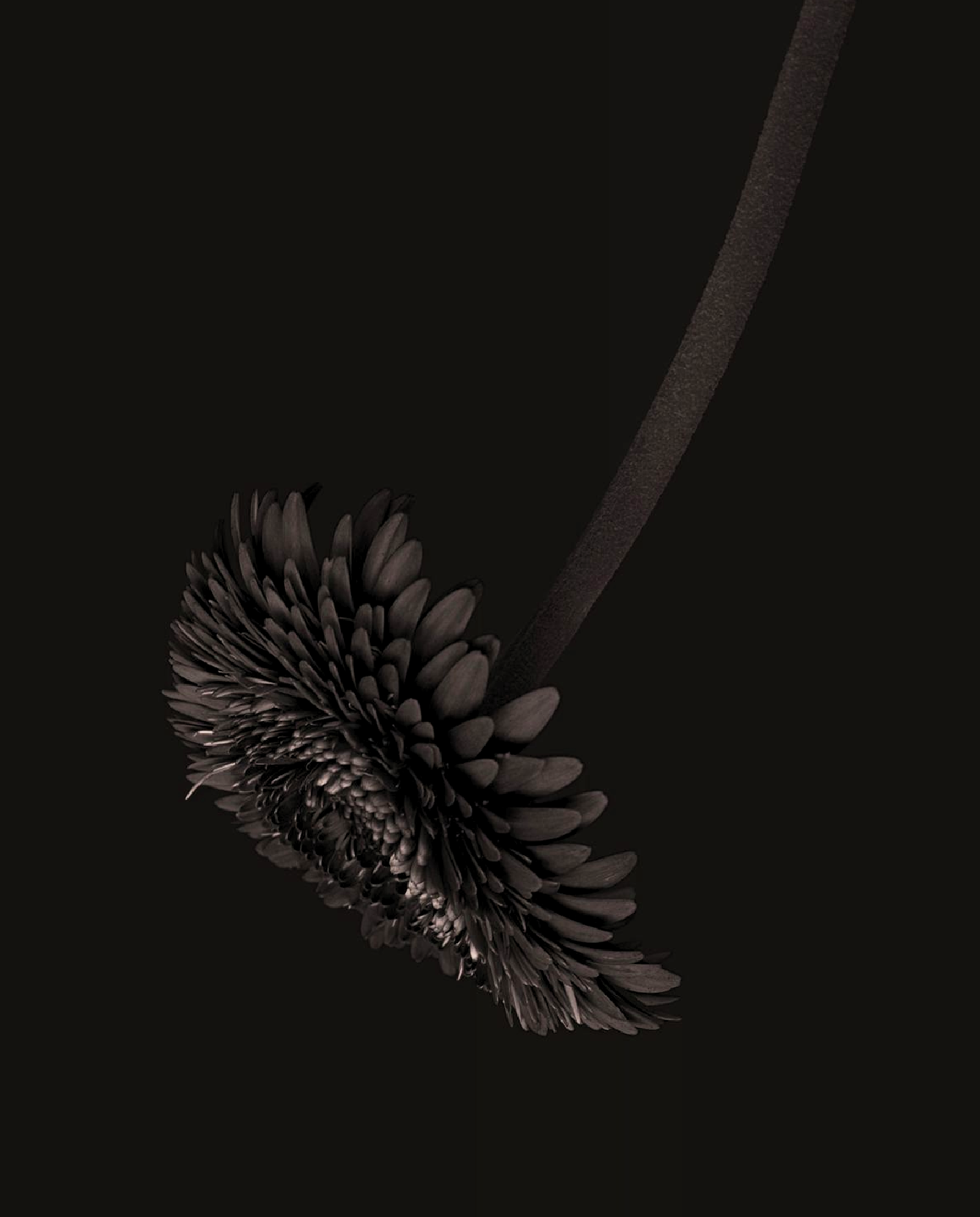 LH-03.png