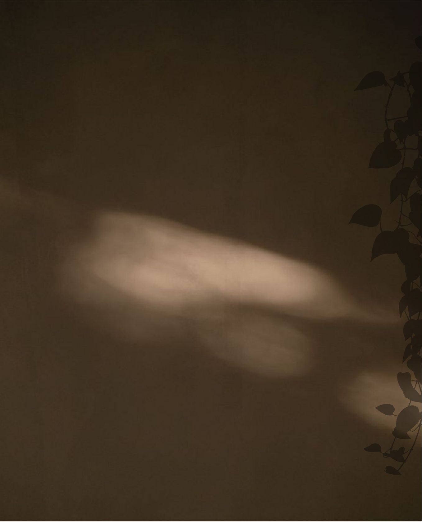 gaia-02.png